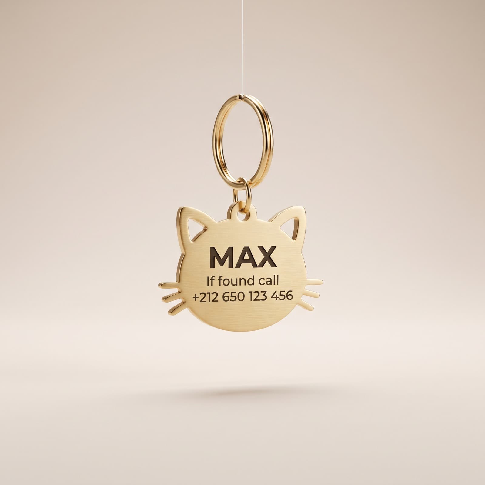 La Médaille Chat